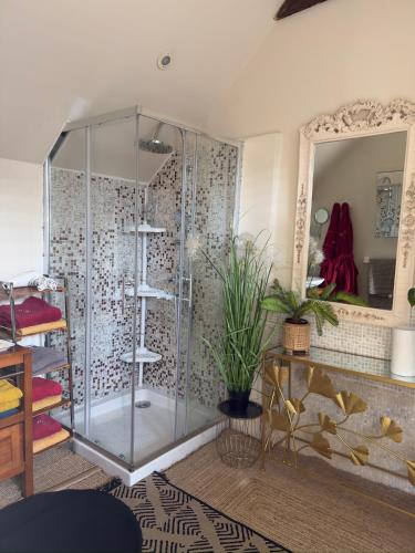 a glass shower in a room with a mirror at Royal Hubert in Provins