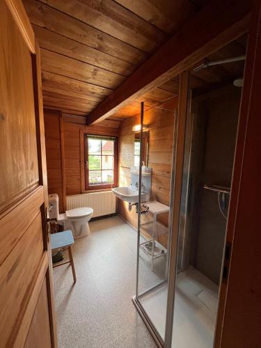 a small bathroom with a toilet and a sink at Reiter- und Ferienhof Wacker in Schöna