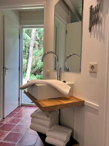 a bathroom with a sink and a mirror at Kleine huisje op de Veluwe in Otterlo