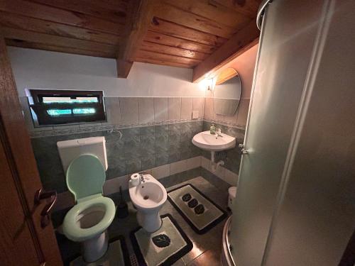a small bathroom with a toilet and a sink at Casa Verde in Vrîncioaia Negrileşti