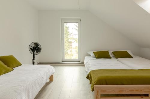 a white room with two beds and a window at Apartament Nowinka in Tatary