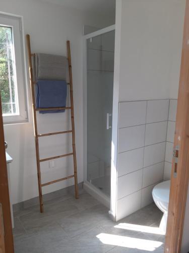 a bathroom with a ladder and a shower and a toilet at Entire maisonette in Tarn in Busque