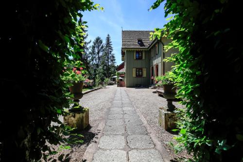 an alley in front of a house with plants at la maison oubliée in Goetzenbruck