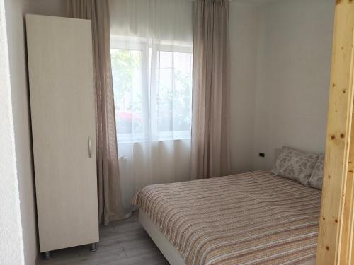 a bedroom with a bed and a window at Green Thuja House in Făgăraş