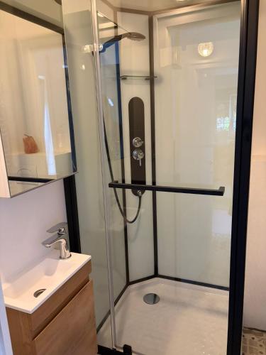 a shower with a glass door next to a sink at Les studios du Domaine d'Eva in Libramont