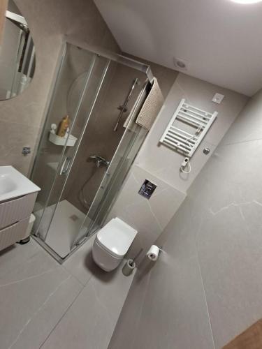 a bathroom with a shower and a toilet and a sink at Costa Royale APARTAMENT in Torrevieja