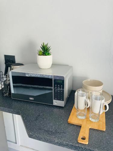a microwave sitting on top of a counter with two mugs at Koshoka Home in Ompanda