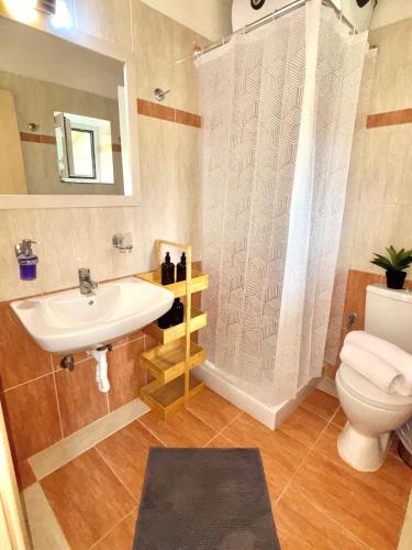 a bathroom with a sink and a toilet at Salt & Stone in Drymon