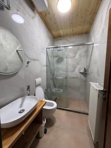 a bathroom with a shower and a toilet and a sink at Guesthouse Alpini in Lëpushë