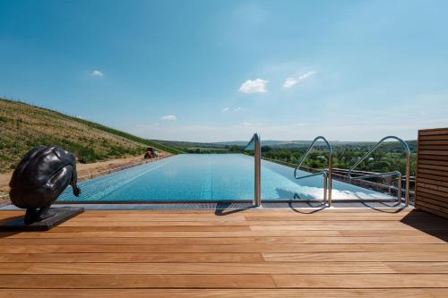a swimming pool with a statue of a dolphin next to a building at ARTEVINI Resort & Winery in Velké Pavlovice