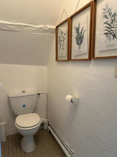 a bathroom with a toilet and some pictures on the wall at Independent and comfortable room in Arrens-Marsous