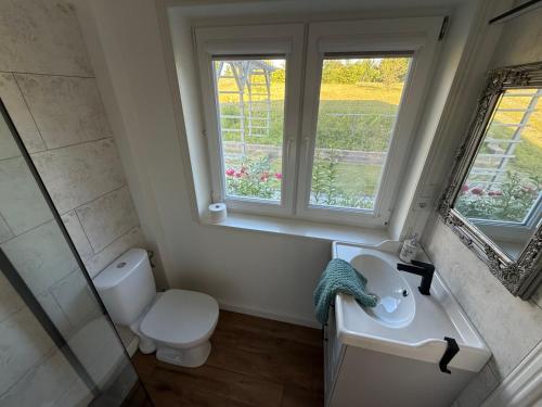 a bathroom with a toilet and a sink and two windows at Domek letniskowy in Kolno