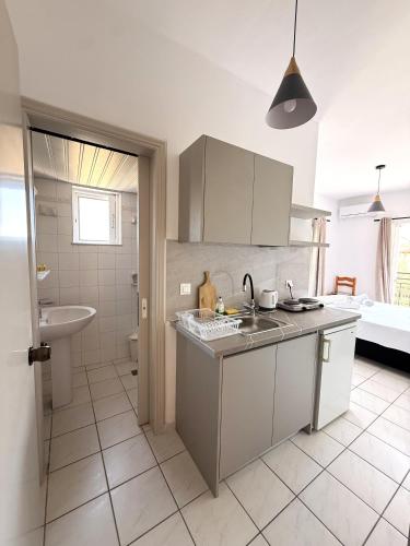 a kitchen with a sink and a counter top at Vaso Alykanas Studios in Alikanas