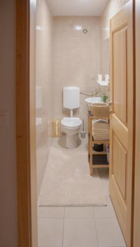 a bathroom with a toilet and a sink at Nad vasjo in Železniki
