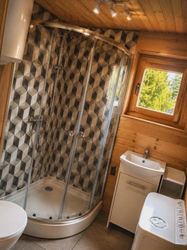 a bathroom with a shower and a toilet and a sink at Domek z BALIA OGRODOWA in Dłużec