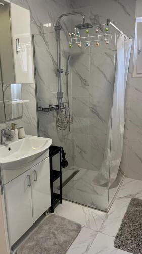 a bathroom with a shower and a sink at Apartman Anela in Ivanica