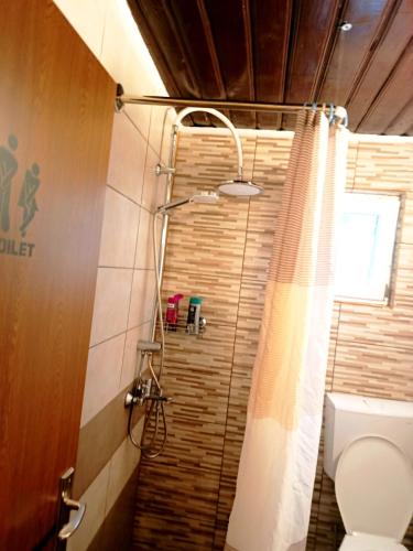 a bathroom with a shower with a toilet and a staircase at Casa Naomi in Eforie Nord