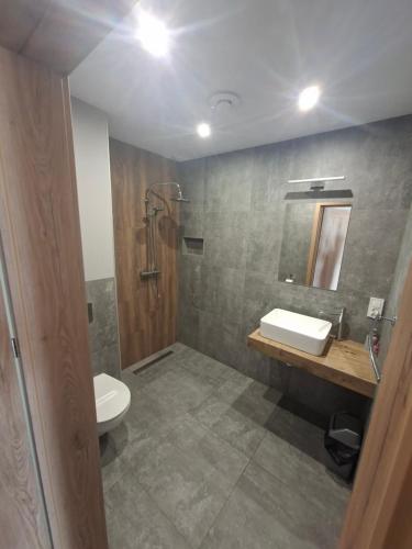 a bathroom with a sink and a toilet and a mirror at J&L Lake Resort in Grądzkie