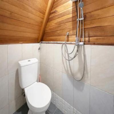 a bathroom with a toilet and a shower at Cozzy Villa Hajeka in Palayangan