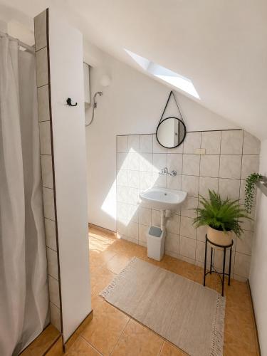 a bathroom with a sink and a potted plant at Agroturystyka Anna in Dąbki