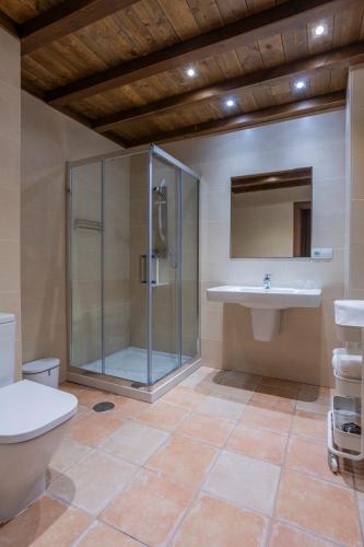 a bathroom with a shower and a toilet and a sink at La Posada del Vencejo in Alles