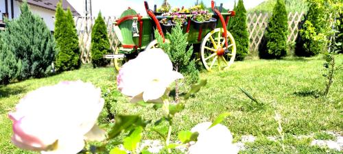 a garden with a red wagon and flowers at Bucovina Sky View in Gura Humorului