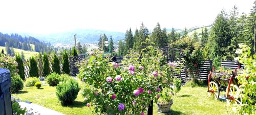 a garden with flowers and trees and mountains in the background at Bucovina Sky View in Gura Humorului