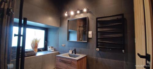 a bathroom with a sink and a mirror at Chata Opata in Lubiąż
