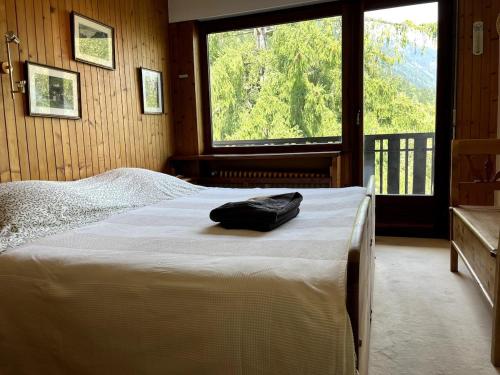 Chamonix Apartment