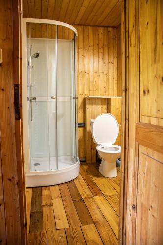 a bathroom with a shower and a toilet at Chata Svahovka in Malá Morávka