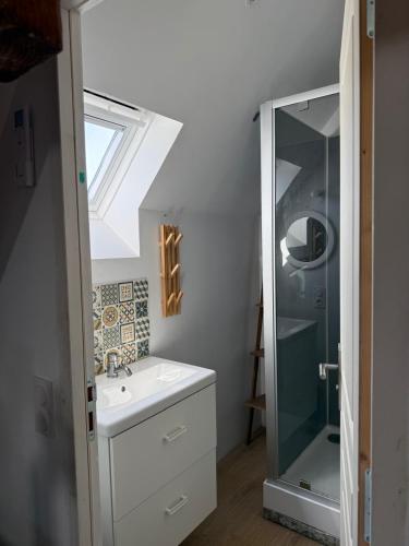 a bathroom with a sink and a shower at La jolie maison en grès rouge in Lagleygeolle