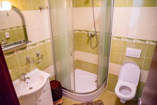 a bathroom with a shower and a toilet and a sink at Mliečna víla in Turčianske Teplice