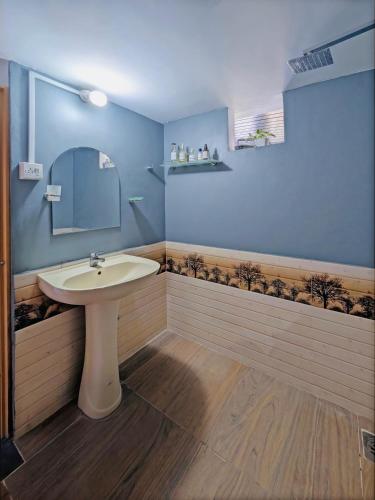 a bathroom with a sink and a mirror at The Loons Lake Villa in Tangalle