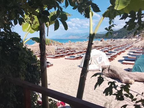 a beach with many lounge chairs and the ocean at Camping Shpella e Pirateve in Lukovë