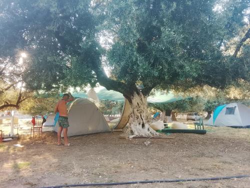 a man standing next to a tent under a tree at Camping Shpella e Pirateve in Lukovë