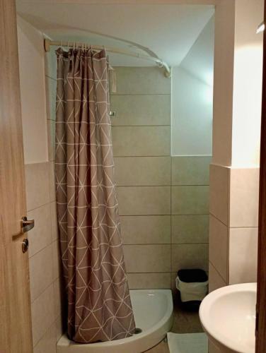 a bathroom with a shower curtain and a toilet at Su Tostoiu alloggio privato in Càbras