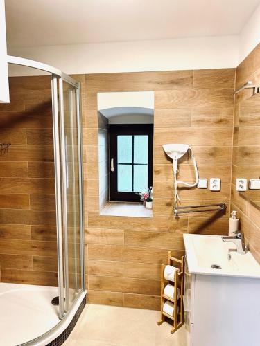a bathroom with a shower and a sink and a mirror at Apartmány Haberschie in Řehlovice