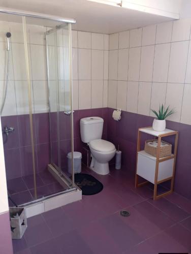 a purple bathroom with a toilet and a shower at Domenica apartment in Salamina