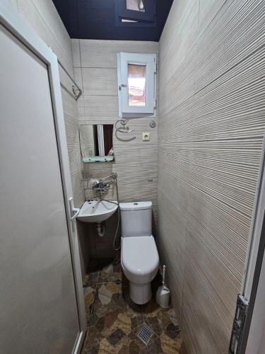 a small bathroom with a toilet and a sink at Guesthouse Sunshine Ureki in Ureki