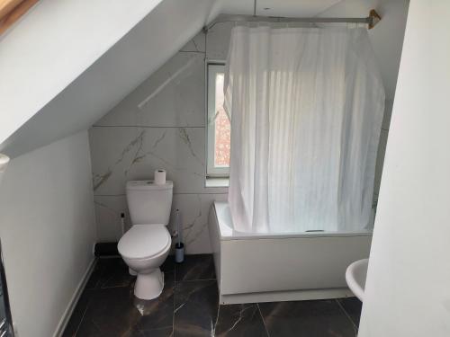 a white bathroom with a toilet and a shower at Yunus in Croydon