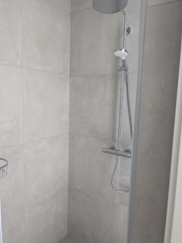 a shower with a shower head in a bathroom at Stubbekøbing Square View Stopover in Stubbekøbing