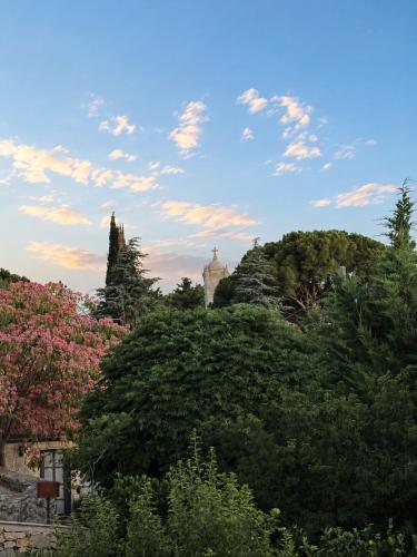 a group of trees with a building in the background at Boreas Retreat - Mountain Escape & Spa in Batroûn