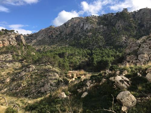 a mountain with rocks and trees on it at Finca Ses Fontanelles in Andratx