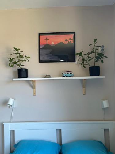 a shelf with two potted plants on a wall at Studio Seaven, Lozenets in Lozenets