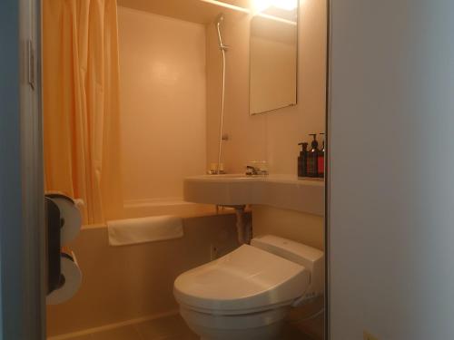 a bathroom with a toilet and a sink and a mirror at ホテルテラス小名浜 in Iwaki