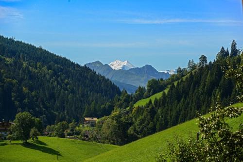a green valley with a mountain in the distance at Gams Lodge 2 in Weng