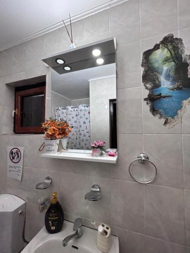 a bathroom with a sink and a mirror at Chalet Rustique-Covasna in Covasna