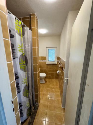 a small bathroom with a toilet and a shower at Studio Apartment Rose in Selca