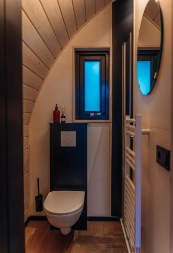 a bathroom with a toilet and a window at luxury cottage with sauna in Milsbeek