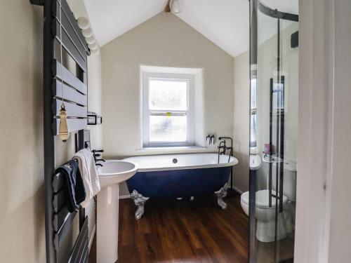 a bathroom with a tub and a sink and a window at Plas Dolguog in Machynlleth